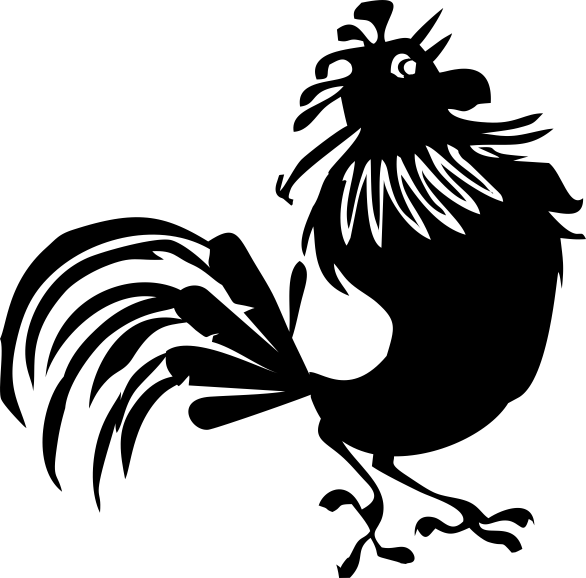 rooster